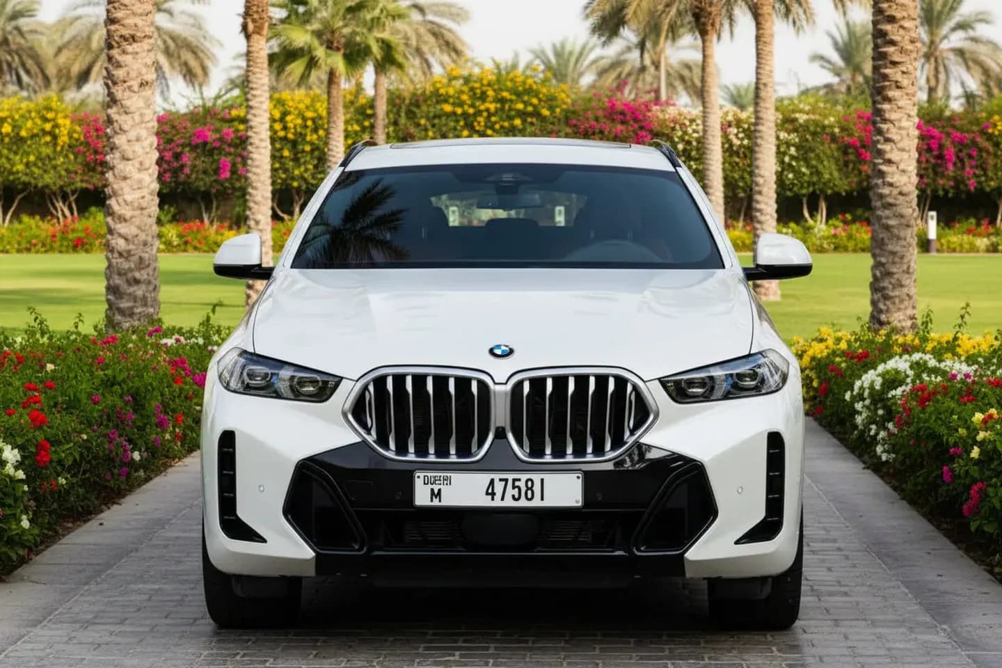 BMW X6 or similar — view 2